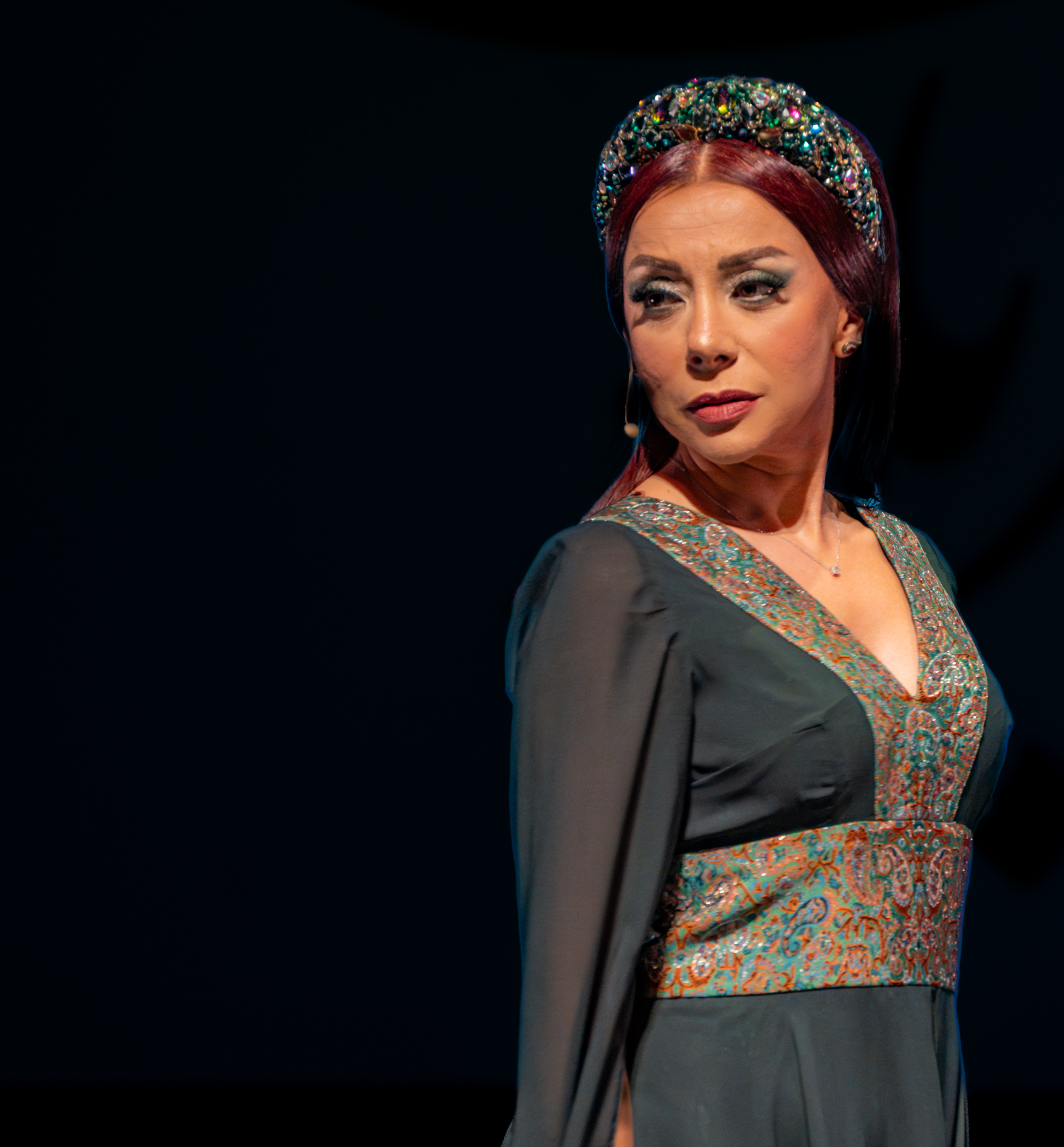 Banafsheh Taherian Event Background